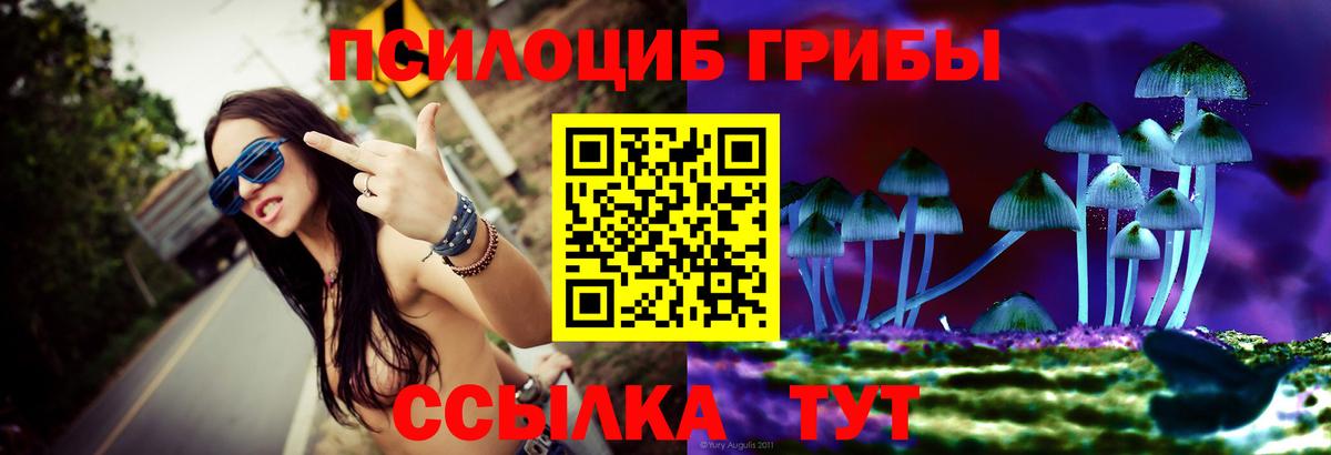 Шебекино  Псилоцибиновые грибы мухоморы  Вход с VPN 