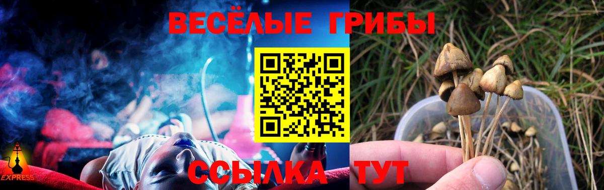 Псилоцибиновые грибы Cubensis Шебекино